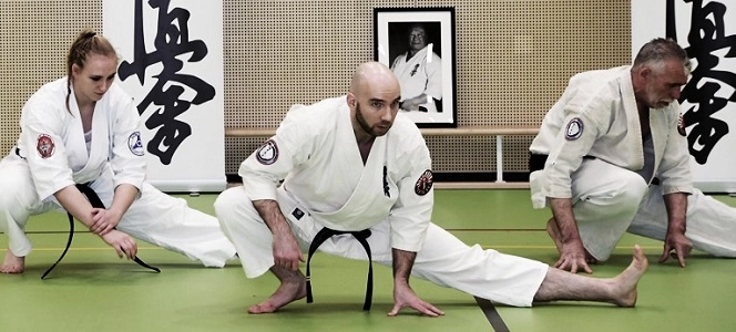 Kyokushin karate Vlaardingen